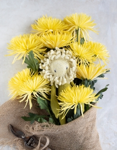 Chrysanthemum Kit