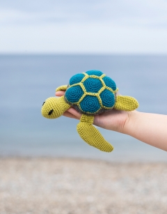 Rebecca the Sea Turtle 