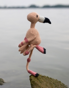 Margherita the Greater Flamingo