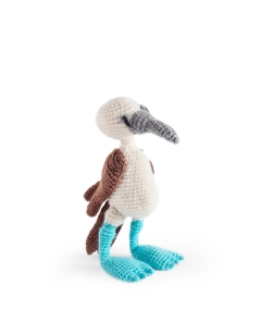 Vince the Blue Footed Booby