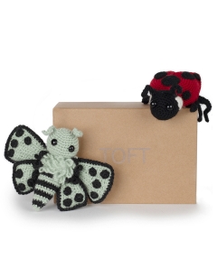 Fluttering Discovery Box