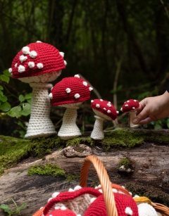 FRI 7.30pm: Crochet  a Magical Toadstool