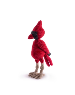 Rory the Northern Cardinal