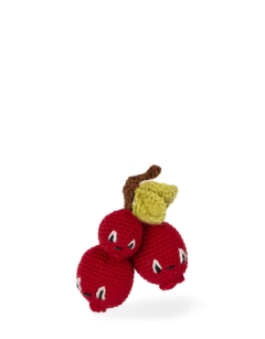 Sprig of Cranberries Kit