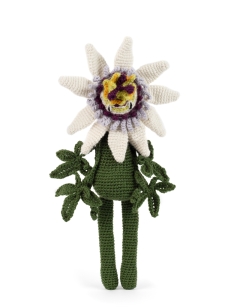 Passion Flower