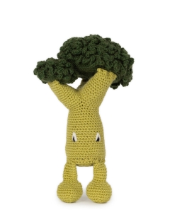 Broccoli Kit