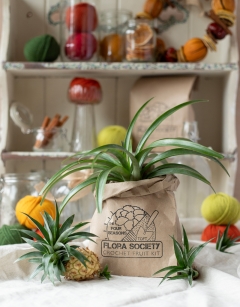 Four Seasons Flora Society 2024