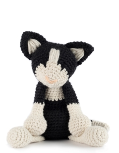 Giant Paddy the Black and White Cat