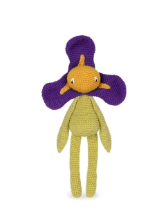 Iris Flower 