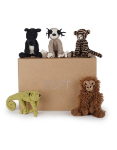 Jungle Discovery Box Kit