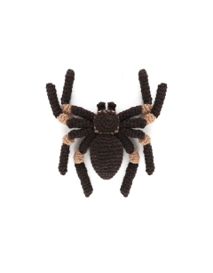 Mini Tara the Tarantula