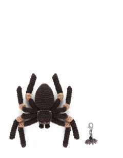 Mini Tara the Tarantula