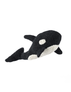 Florence the Orca