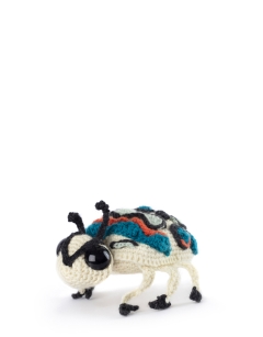 Johan the Picasso Bug