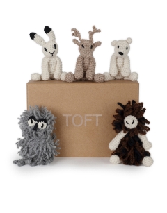 Polar Discovery Box Kit