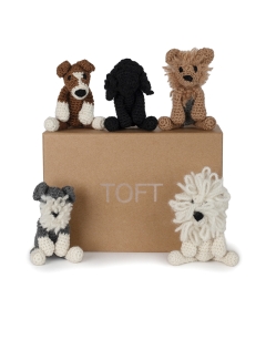 Puppies Discovery Box