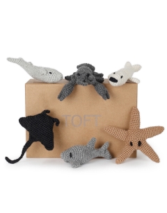 Shore Discovery Box Kit
