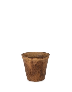 Coir Pot