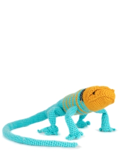 Erik the Collared Lizard