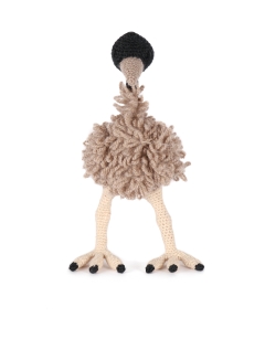 Taylor the Emu