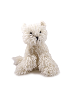 Nousha the Persian Cat