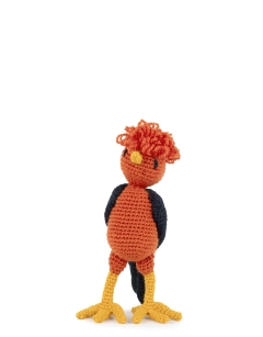 Mateo the Cock of the Rock