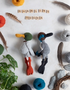 Duo of Dabbling Ducks