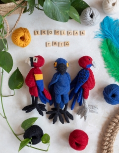 Tropical Trio of Parrots