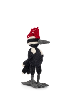 Scott the Woodpecker