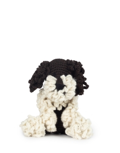 Otto the Lagotto Romagnolo