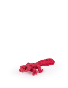 Mini Fire Salamander