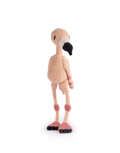 Margherita the Greater Flamingo