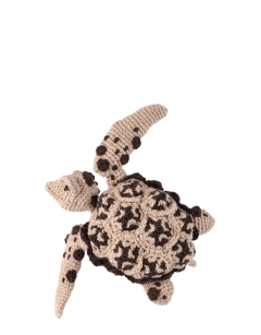 Bessie the Hawksbill Sea Turtle
