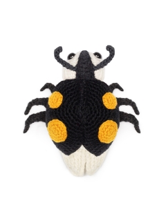 Ava the Ladybird: Yellow Harlequin