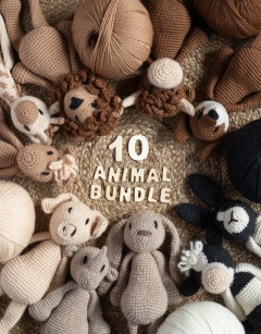 10 Animal DK Bundle 