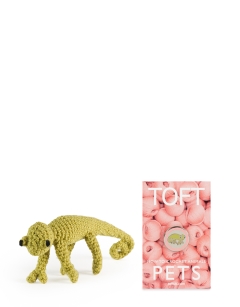 Mini Kerry the Chameleon