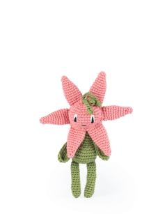 Mini Lily