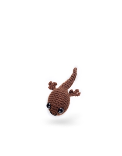 Pip the Tadpole