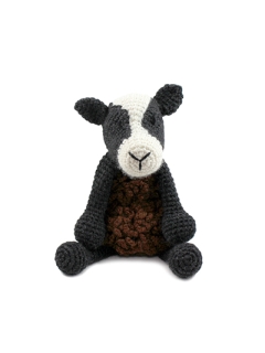 Noah the Zwartbles Sheep