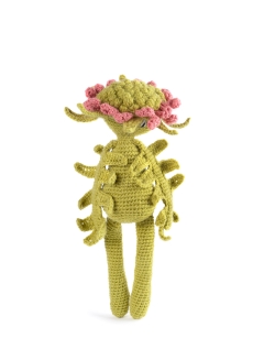 Pincushion Flower Kit