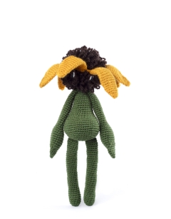 Rudbeckia Kit