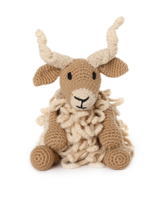 Tracy the Racka Sheep