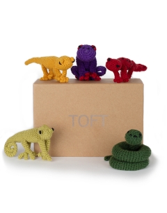 Tropical Discovery Box Kit