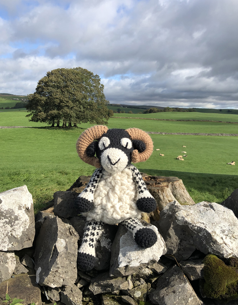 Edwards Menagerie Giant Swaledale Sheep Kit