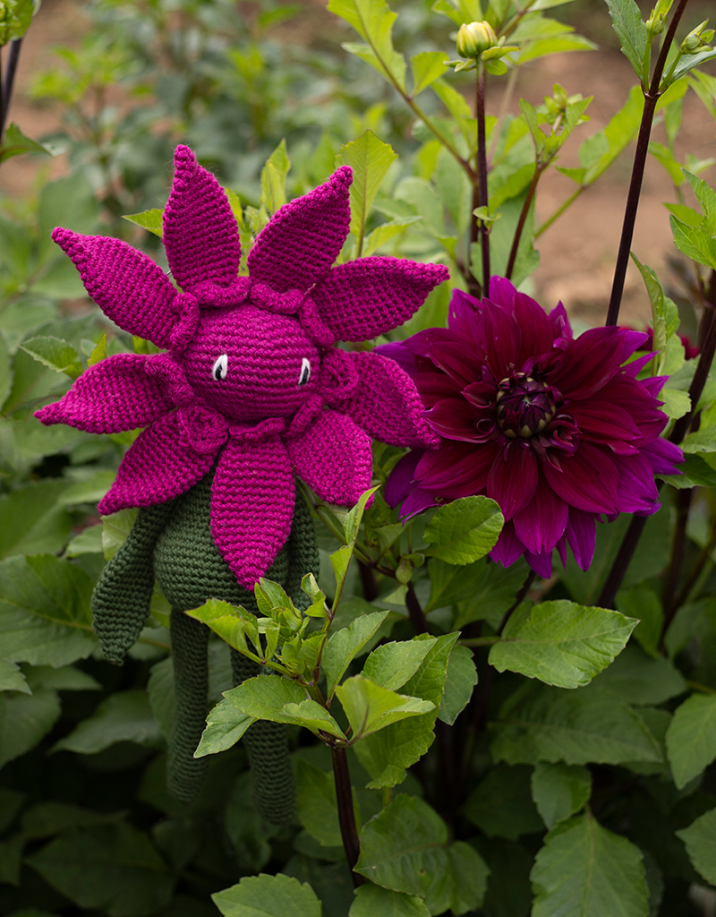 Crochet Dahlia Flower Kits - Hookok - Hookok