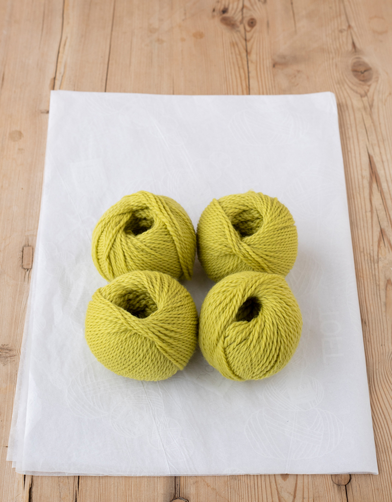 tokage1234様 Crochet Lizard Kit | TOFT