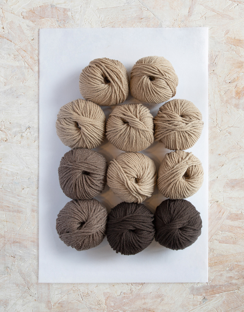 Giant Tortoise Crochet Kit | TOFT