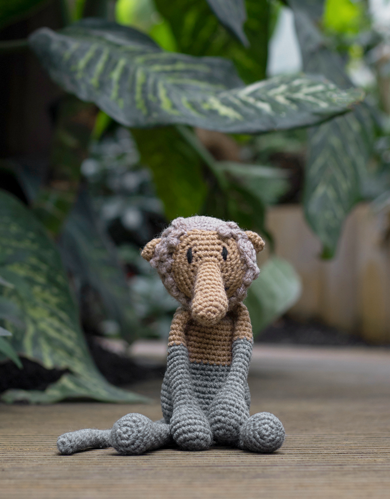 Proboscis deals monkey slippers