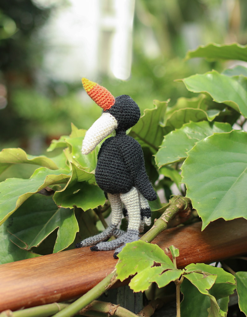 Hornbill plush deals