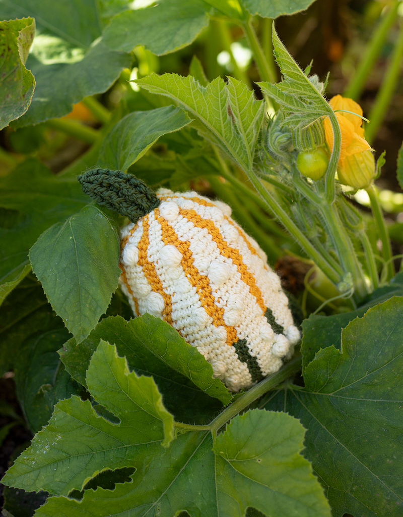 Crochet Your Own Gourd Vegetable Kit TOFT